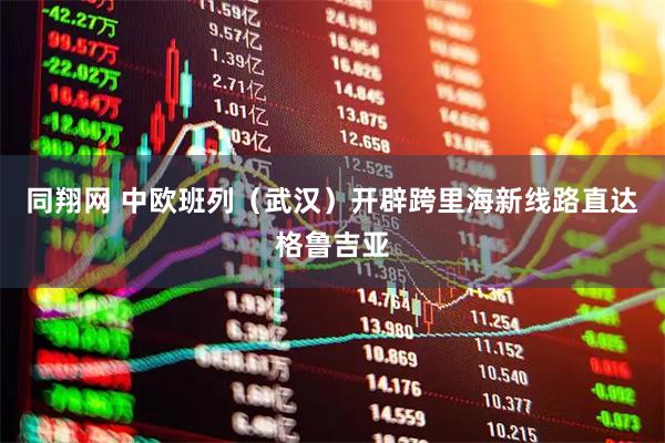 同翔网 中欧班列（武汉）开辟跨里海新线路直达格鲁吉亚