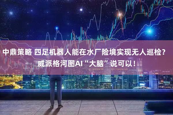 中鼎策略 四足机器人能在水厂险境实现无人巡检？ 威派格河图AI“大脑”说可以！