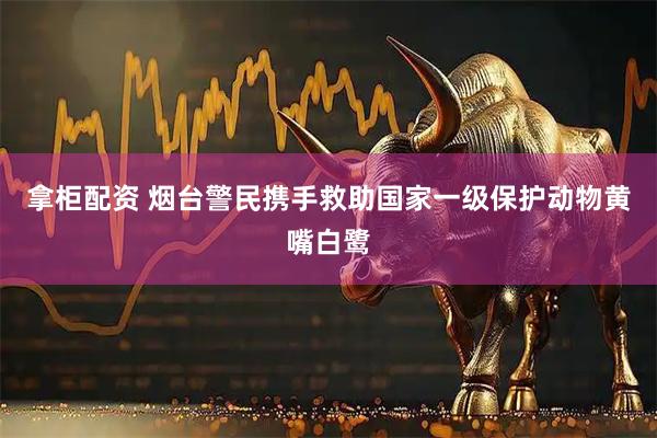 拿柜配资 烟台警民携手救助国家一级保护动物黄嘴白鹭