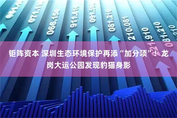 钜阵资本 深圳生态环境保护再添“加分项”!龙岗大运公园发现豹猫身影