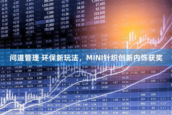 问道管理 环保新玩法，MINI针织创新内饰获奖