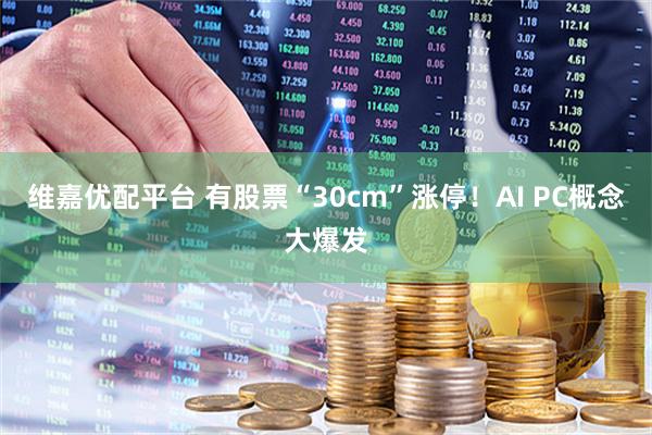 维嘉优配平台 有股票“30cm”涨停！AI PC概念大爆发